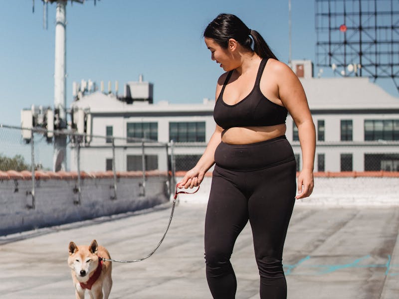 A holiday stocking filled with dog toys, treats, and a tennis ball hanging by a fireplace