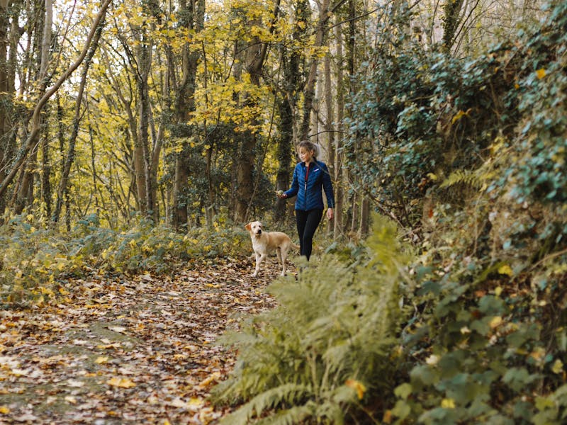 A hiker with a dog wearing a backpack on a mountain trail with gear laid out