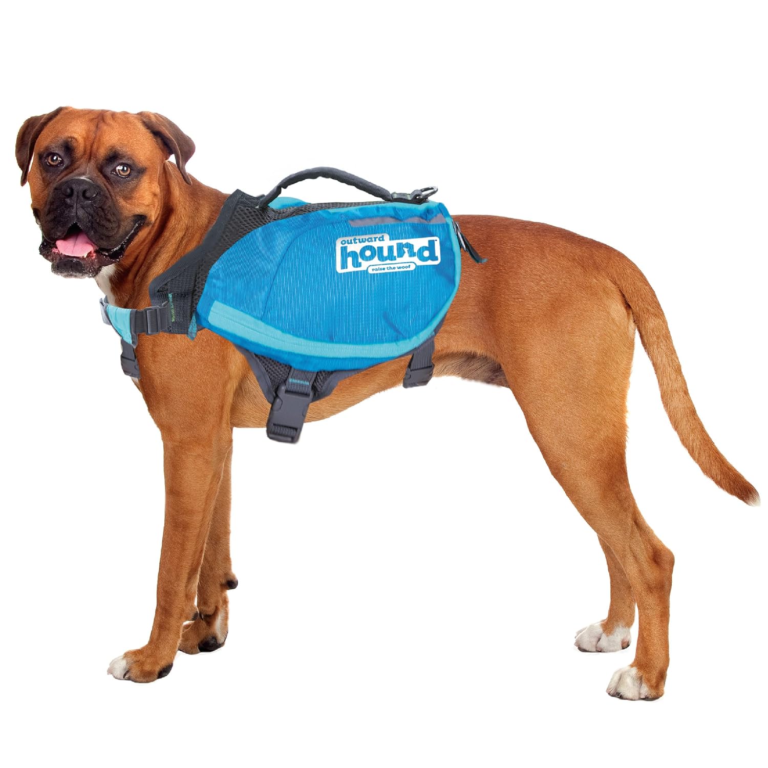 Outward Hound DayPak Dog Backpack