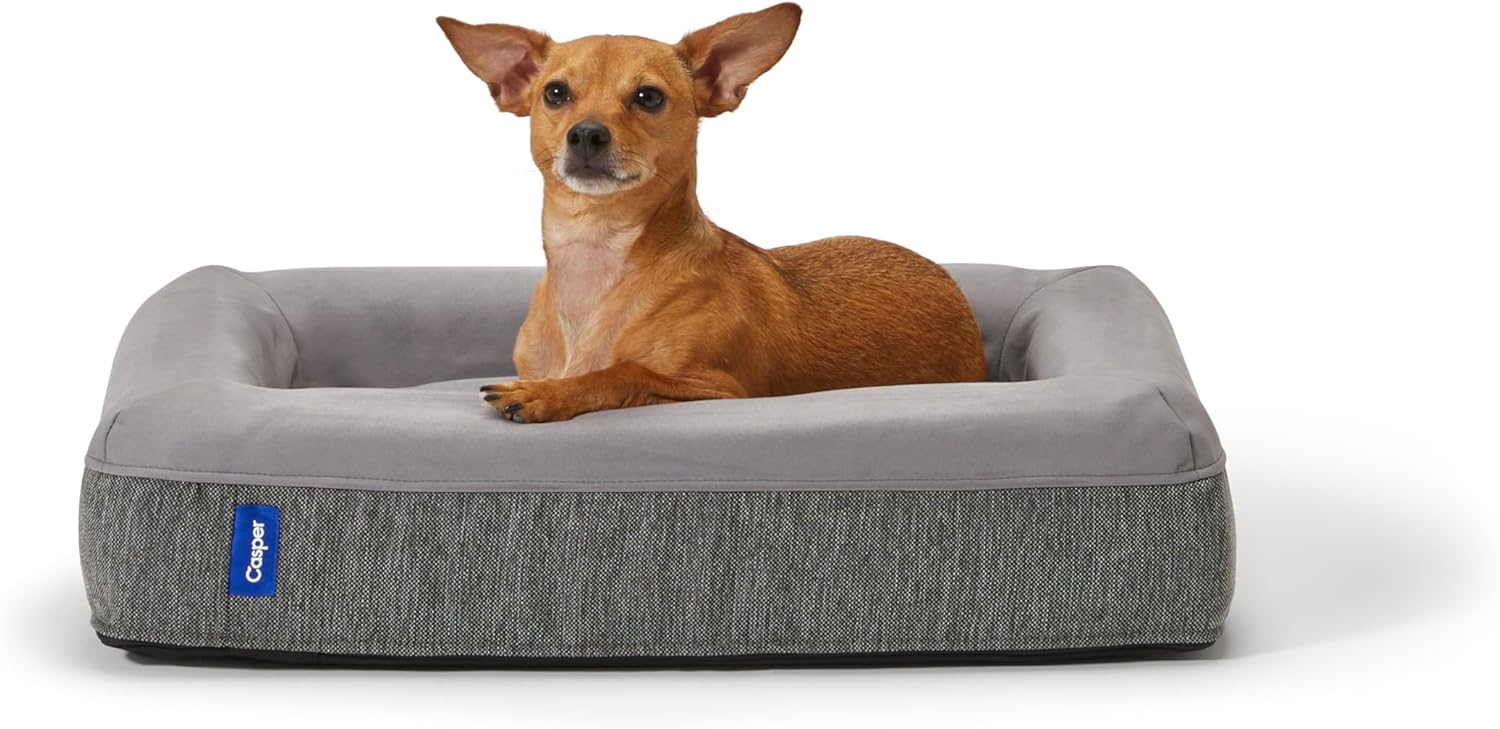 Casper Dog Bed in gray showing the memory foam construction and a dog resting comfortably