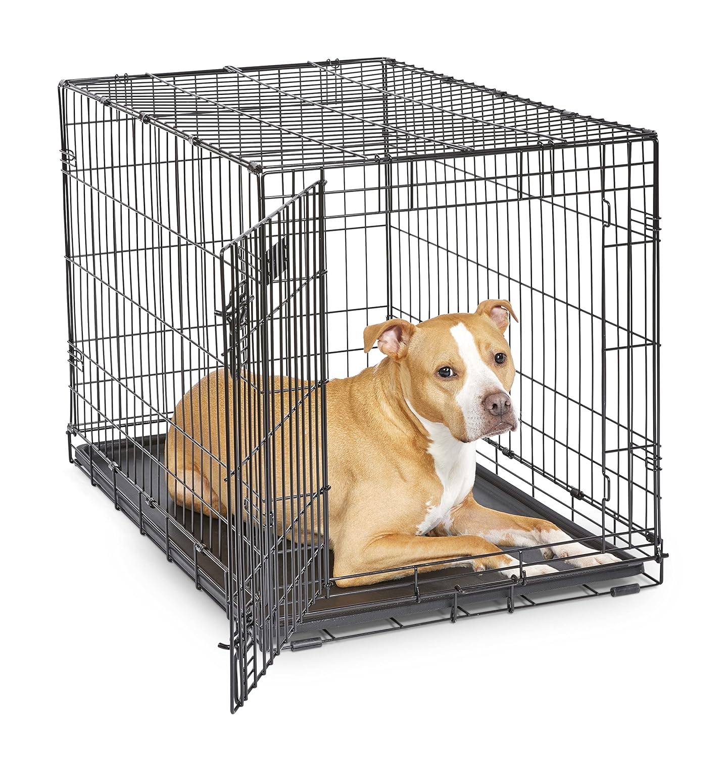 MidWest iCrate double door wire dog crate set up with the divider panel and leak-proof pan visible