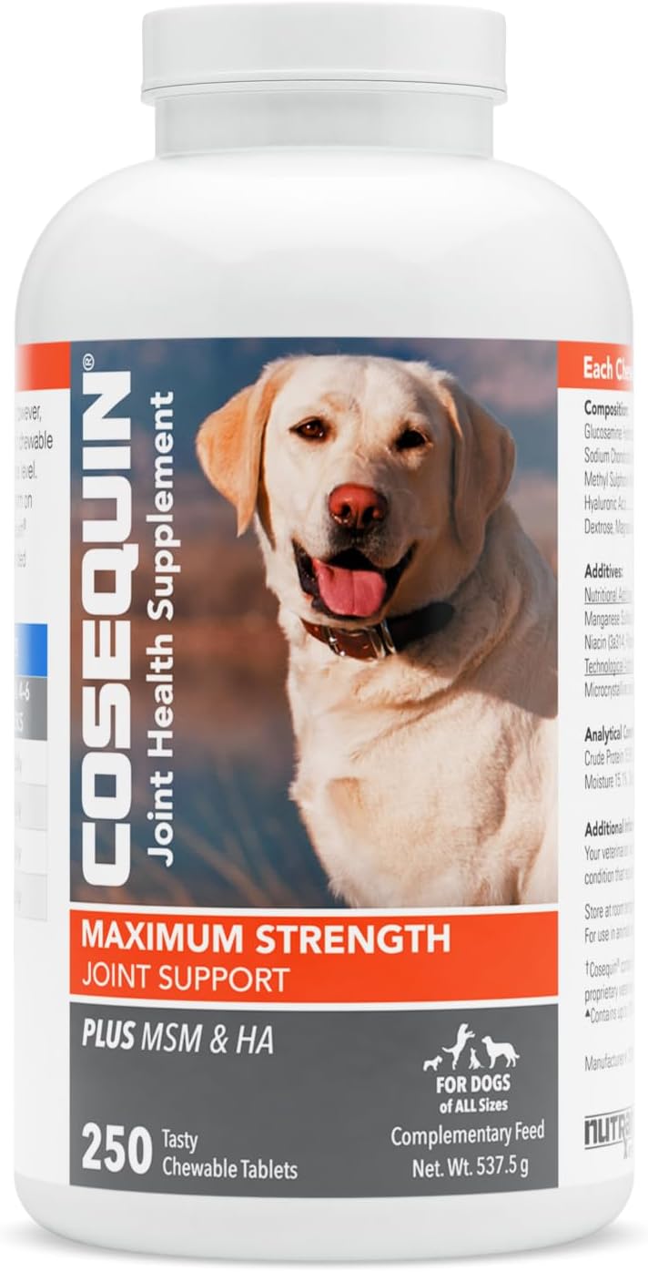 Bottle of Nutramax Cosequin Maximum Strength Plus MSM chewable tablets for dogs