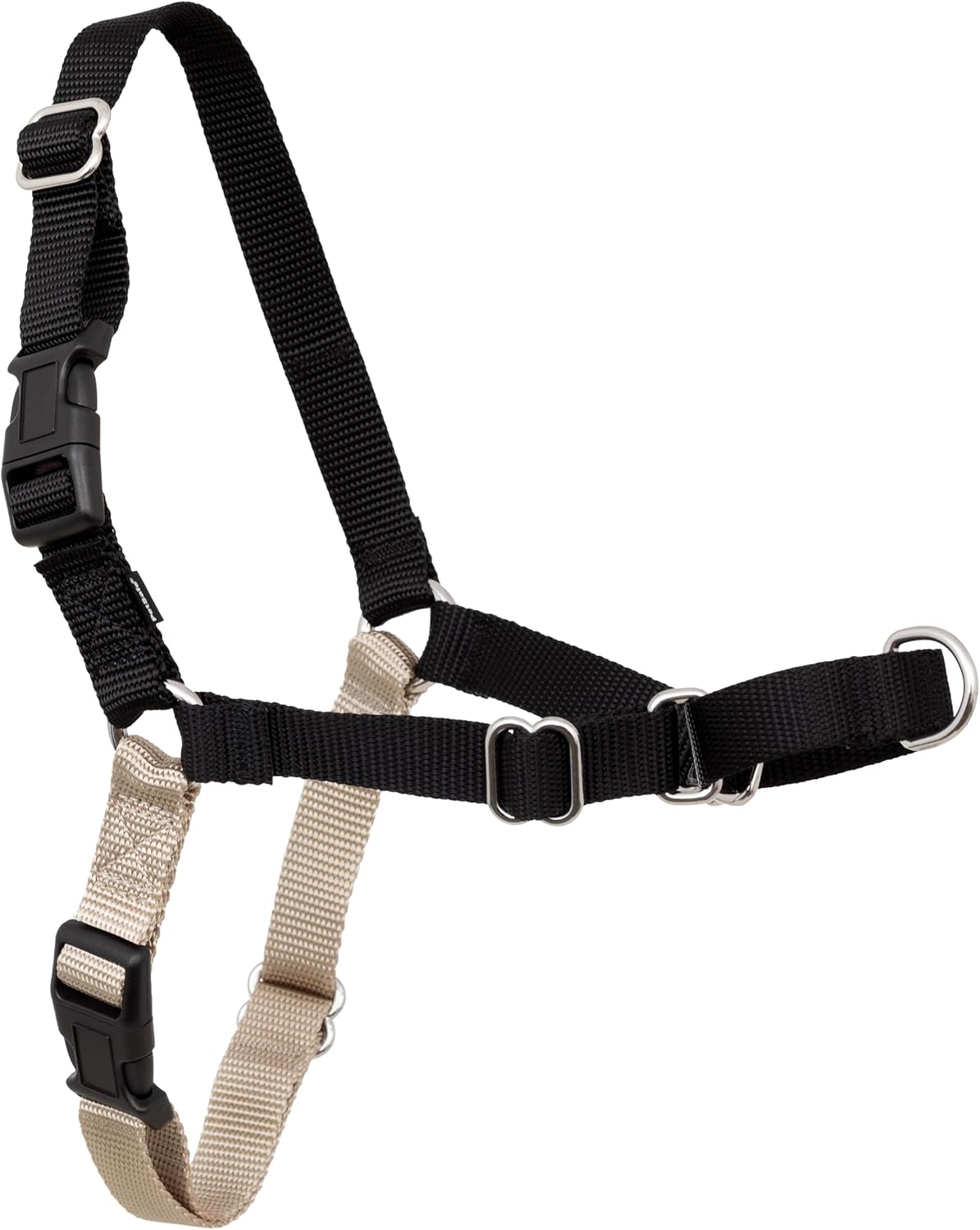 PetSafe Easy Walk Harness in black on a medium-sized dog during a leash training walk